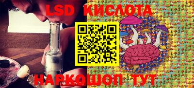 крисы Лесосибирск