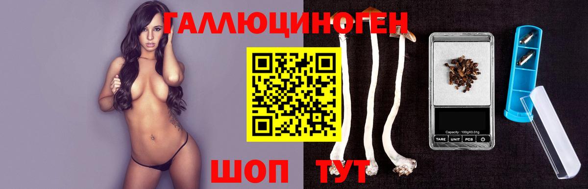 Тельмана  Псилоцибиновые грибы мухоморы  Вход с VPN 